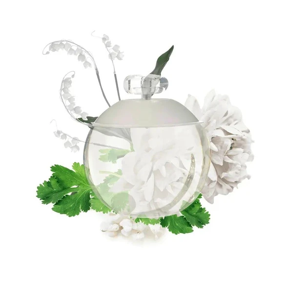 Cacharel Noa EDT 100 ml Kadın Parfümü - Resim 3