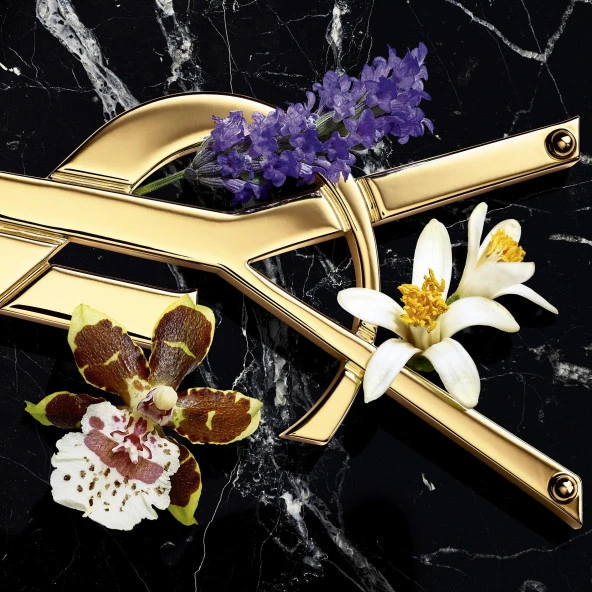 Yves Saint Laurent Libre Intense EDP 50 ml Kadın Parfümü - Resim 2