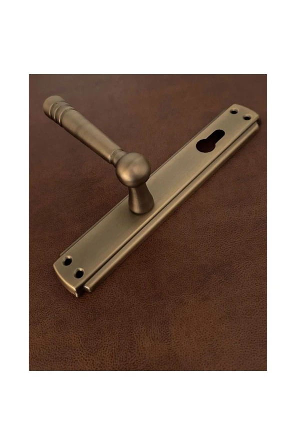 Osmanlı Mat Antik Sarı Bravo Aynalı Yale Çelik Kapı Kolu 1 Takım - Resim 4