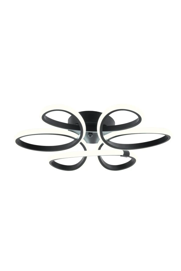 Dekorluna Alis Modern Siyah Plafonyer Tavana Beyaz Işık Sıfır Salon Mutfak Yatak Odası Led Avize - 6