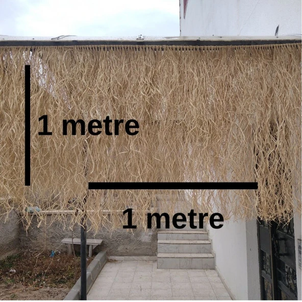 Hasır Evi Hasır Püskül Otu Saçaklı Ot 1 Metre x 1 Metre