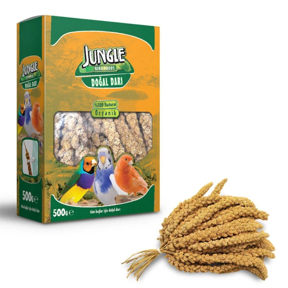 Jungle Doğal Dal Darı 500 Gr