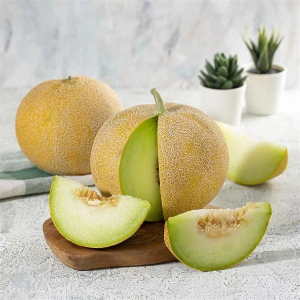 Biton F1 Kavun Tohumu (10 tohum) ürün görseli 1