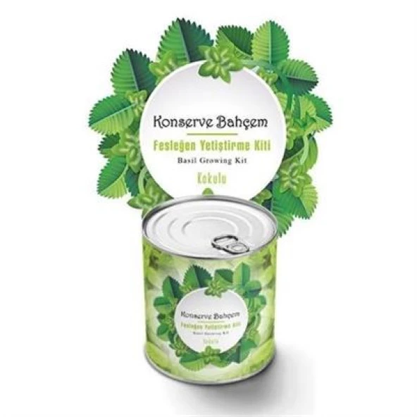 BUFFER® Konserve Bahçem Evde Konservede Kokulu Fesleğen Yetiştirme Kiti