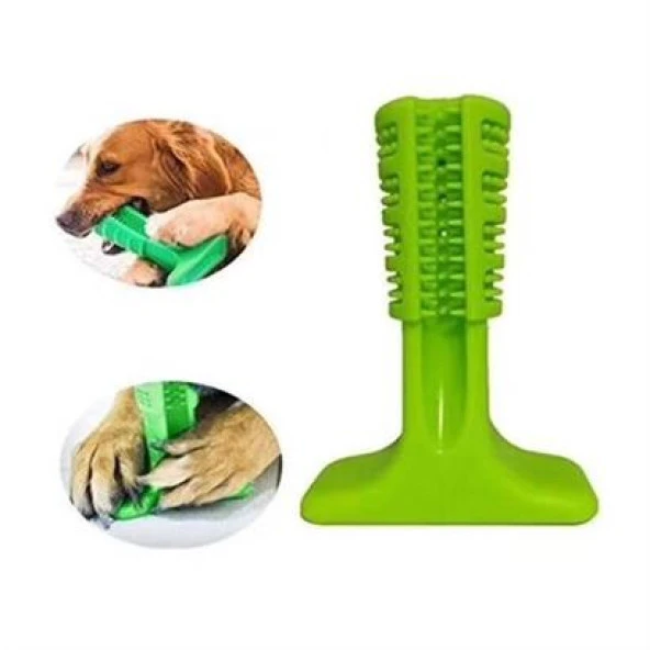 BUFFER® Köpek Diş Temizleyici ve Kaşıyıcı Sağlıklı Küçük Boy Oyuncak - 3