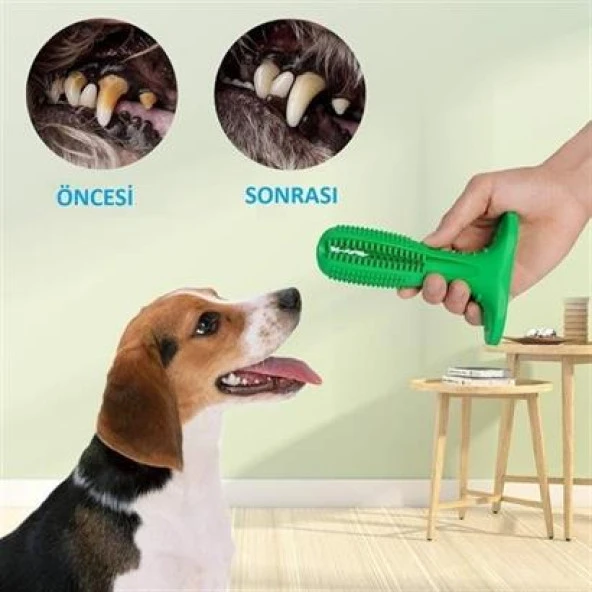 BUFFER® Köpek Diş Temizleyici ve Kaşıyıcı Sağlıklı Küçük Boy Oyuncak - 5