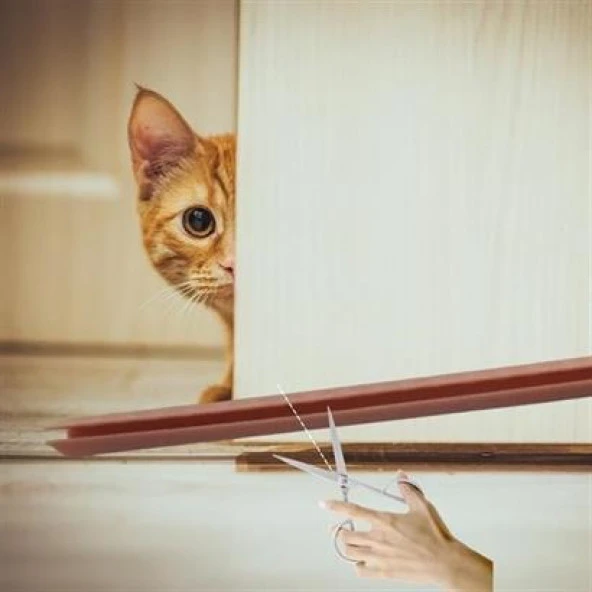 Buffer® 4 Adet Kapı Toz Rüzgar Önleyici Isı Yalıtımı Sağlayan Sızdırmaz Strafor - 5