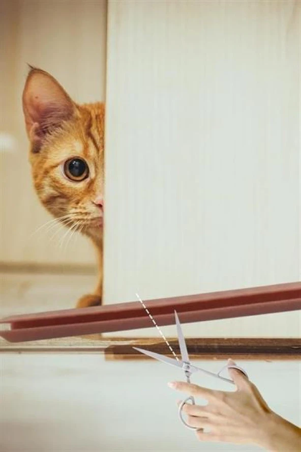 Buffer® 4 Adet Kapı Toz Rüzgar Önleyici Isı Yalıtımı Sağlayan Sızdırmaz Strafor - 11