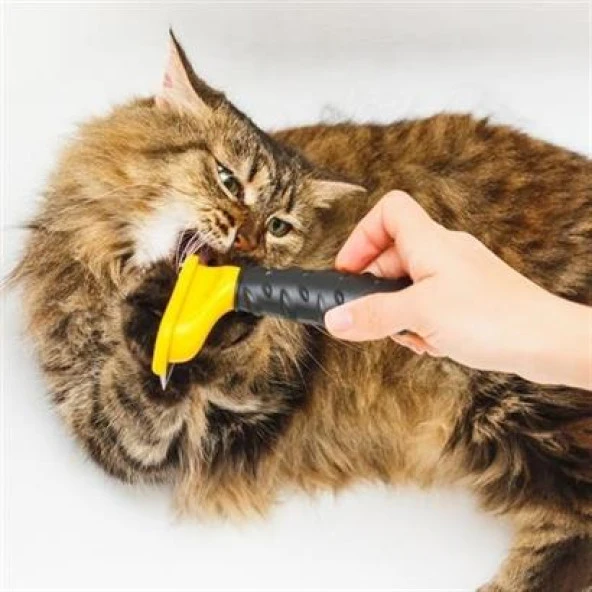 BUFFER® Uzun Tüylü Köpekler İçin Kolay Tarama Fırçası Temizlenebilir Çelik Tarak Tüy Toplayıcı Mediu - 7