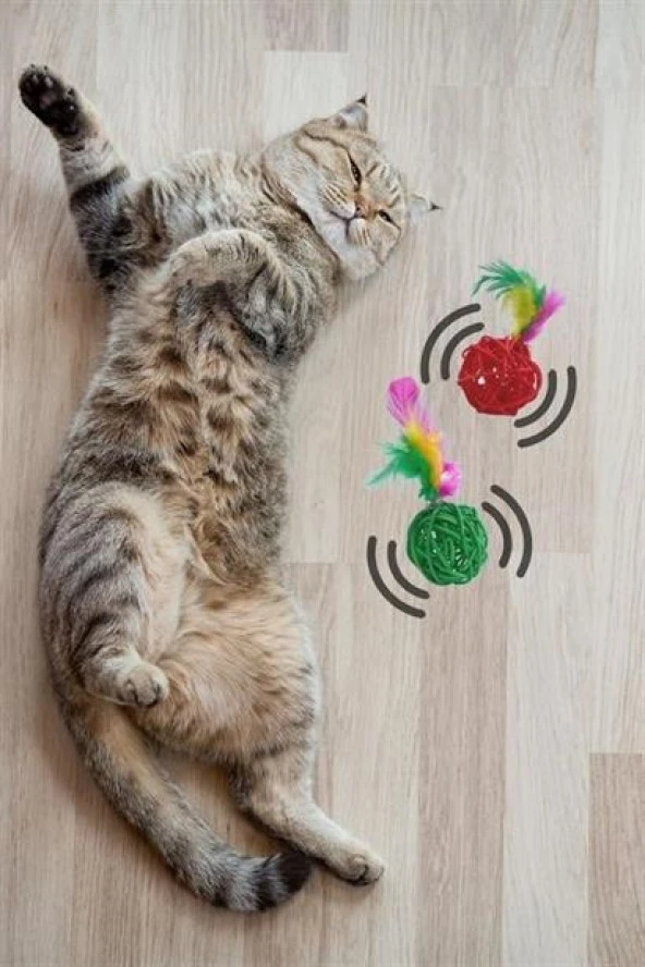 BUFFER® 2li Rattan Renkli Peluş Tüy Kedi Köpek Oyuncak Yakalama Çiğneme Çıngıraklı Top Oyuncağı - 10