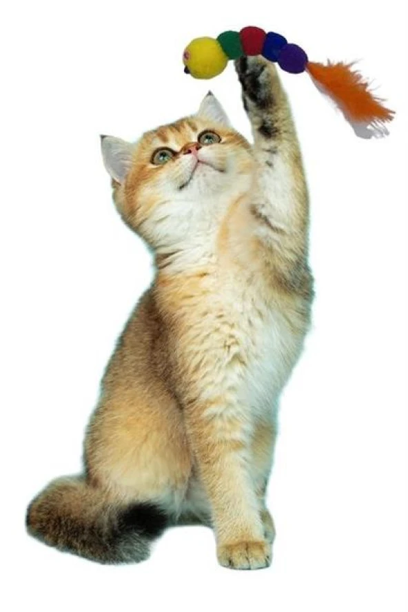 BUFFER® Yumuşacık İpli Tırtıl Şeklinde Rengarenk Sevimli Evcil Hayvan Oyuncağı - 5