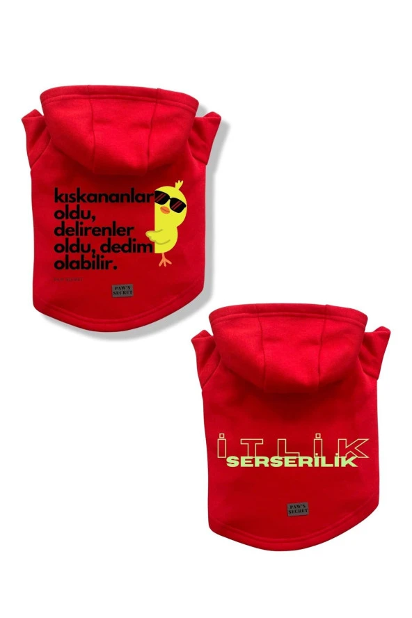 Kedi Köpek Kıyafeti Sweatshirt Kıskananlar Oldu - Serseri Kırmızı Kombin 2'li Set
