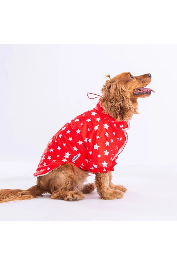 Kırmızı Stars Köpek Montu Köpek Yağmurluk Köpek Kıyafeti Köpek Elbisesi