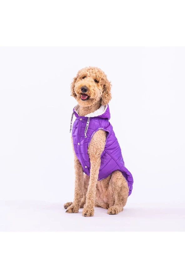 Mor Railway Orta Ve Büyük Irklar Için Anorak Yelek Köpek Yeleği Köpek Kıyafeti Köpek Yağmurluk
