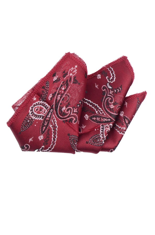 Cengiz İnler Karışık Şal Desenli Mendilli Mikrofiber Erkek Kravat - 3