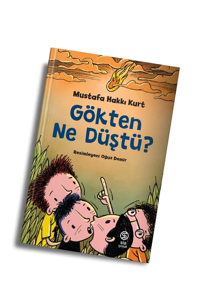 Gökten Ne Düştü - Mustafa Hakkı Kurt ürün görseli