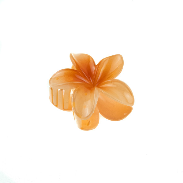 Toka Gül Tokası Altılı Set - 4