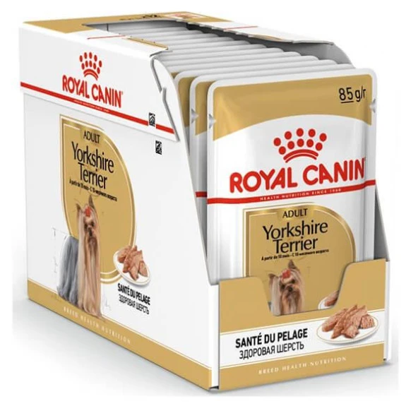 Royal Canin Yorkshire Terrier Adult Pouch Yaş Köpek Maması 12 x 85 G