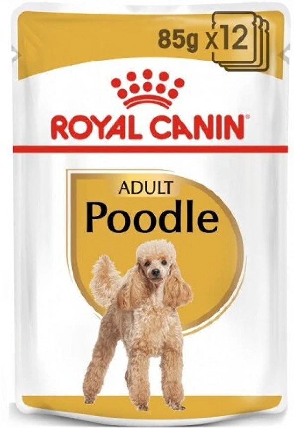 Royal Canin Poodle Yetişkin Pouch Yaş Köpek Maması 12 x 85 Gr