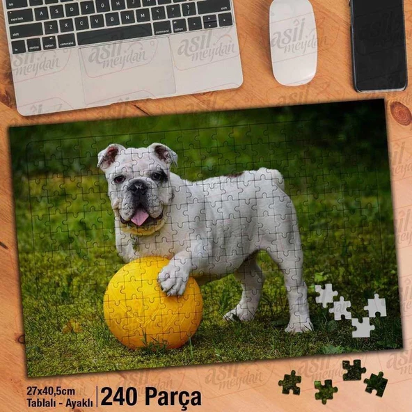 Asil Hobi İngiliz Bulldog - Köpek - Sarı Top Yapboz -Ayak Destekli Çerçeveli 240 Parça Puzzle