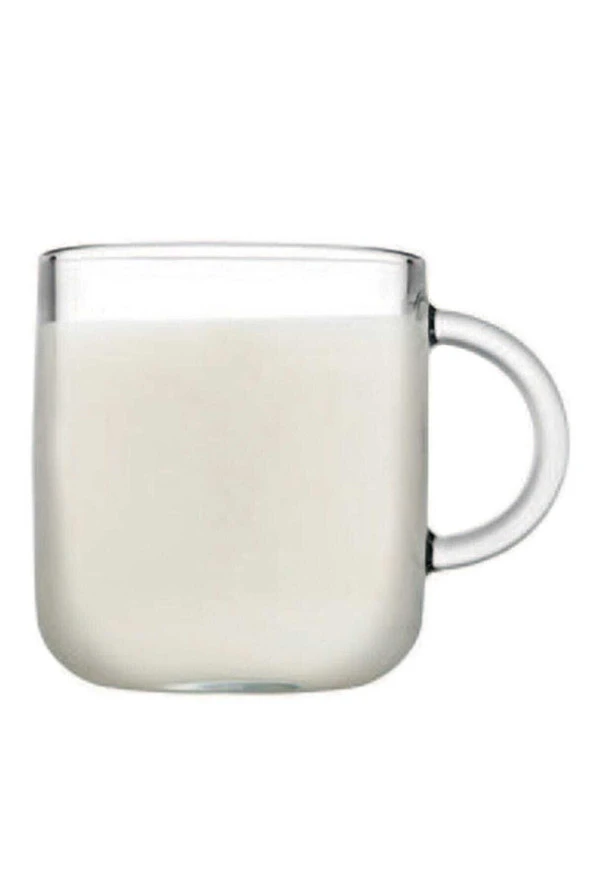 Paşabahçe iconic kulplu 6 lı sunum bardağı - cam kupa su bardağı