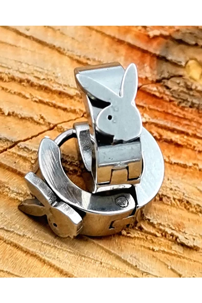 316 L Çelik Gümüş Renk  Halka  Unısex Küpe Çap 1 cm ürün görseli 1