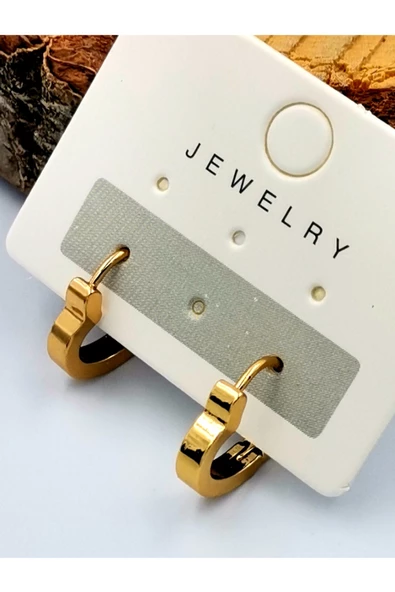 316 L Çelik Gold Renk  Kalp Figürlü  Küpe ürün görseli 1