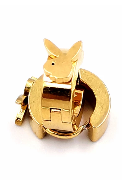 316 L Çelik Gold Renk Unisex Figürlü  Küpe ürün görseli 1