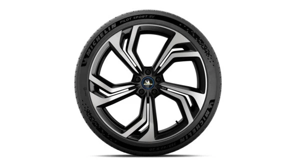 Mıchelın 255/45R19 104 W XL PILOT SPORT EV AC RG - 3