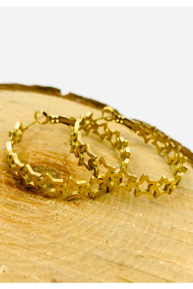 Gold Renk Figürlü Çelik  Küpe ürün görseli 1