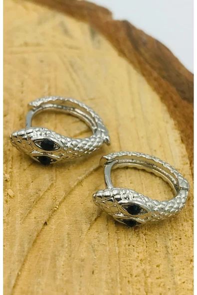 Gümüş Renk Figürlü Çelik  Küpe ürün görseli 1