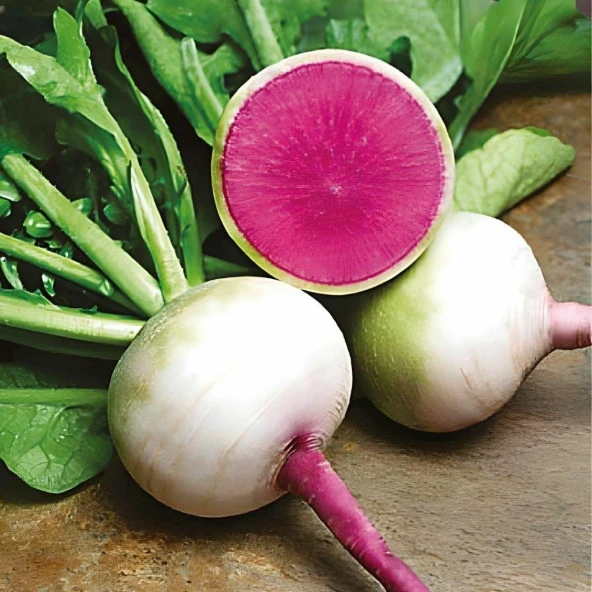 Çin Turpu Dışı Beyaz İçi Kırmızı (Karpuz Turpu) Tohumu (3 gram) ürün görseli