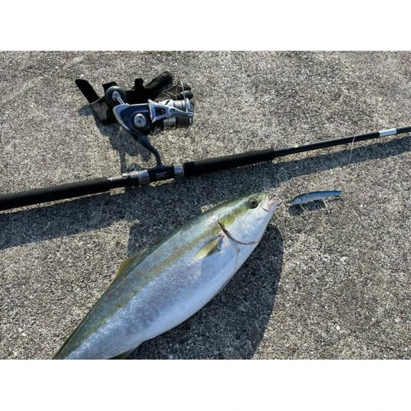 Apia Grandage Atlas Blue Runner 100HH 3.05m Plug 100gr - Jig 120gr Shore Jig Kamış