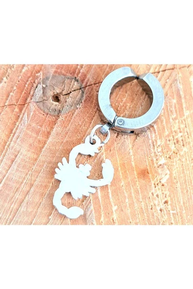 Çelik Gümüş Renk Kıstırmalı Akrep Figürlü Unisex Küpe ürün görseli 1