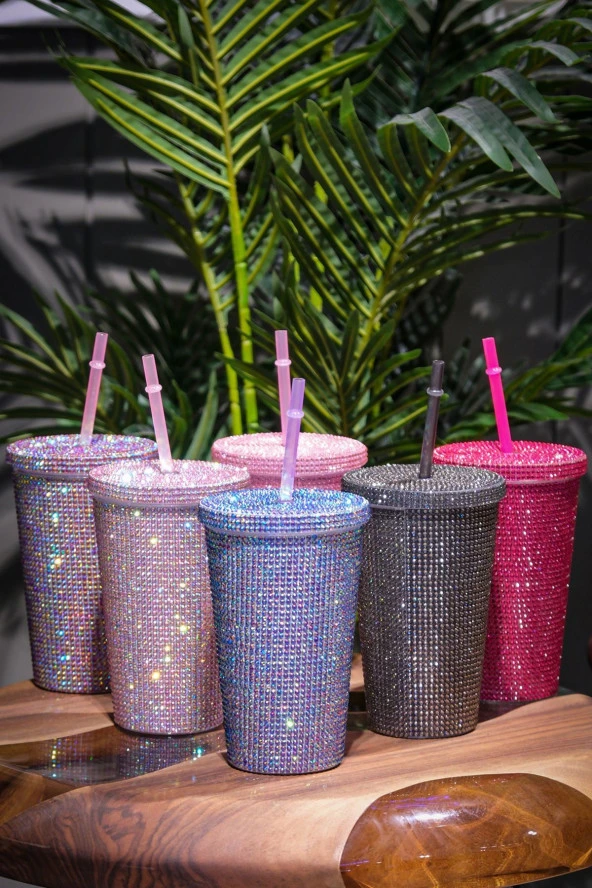 PAMİRAVMParlak Taşlı Pipetli Çift Kat Soğuk İçecek İçin Şık 500ml Mug Termos Bardak - 2