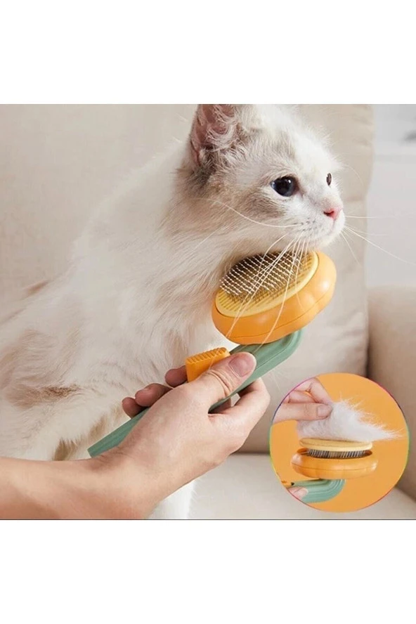Pet BrushKabak Tasarım Tuşlu Otomatik Temizlenen Kedi Köpek Tüy Toplayıcı Tarak - 5