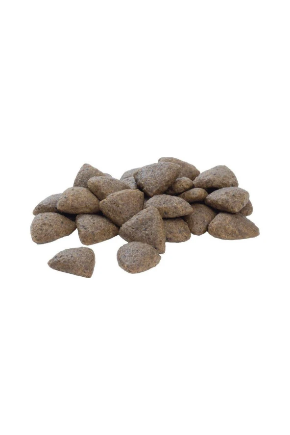 Proplan Medium Adult Tavuklu Yetişkin Köpek Maması 16,5 kg - 3