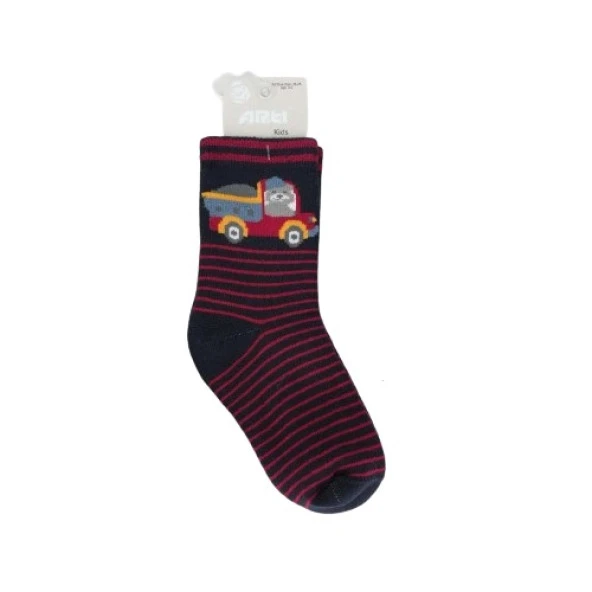 Artı Magri Erkek Havlu Soket Çorap 250194 Asorti