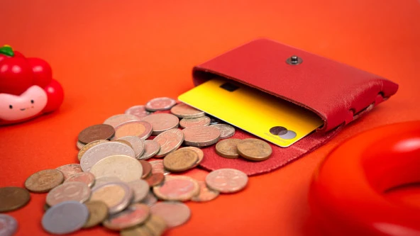 Kayigo Marsel Kartvizitlik / Kulaklık Çantası Koyu Kırmızı - Resim 5