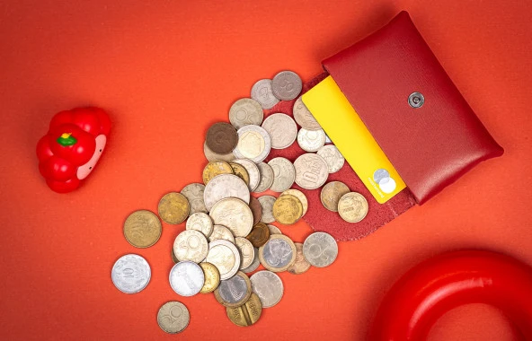 Kayigo Marsel Kartvizitlik / Kulaklık Çantası Koyu Kırmızı - Resim 6