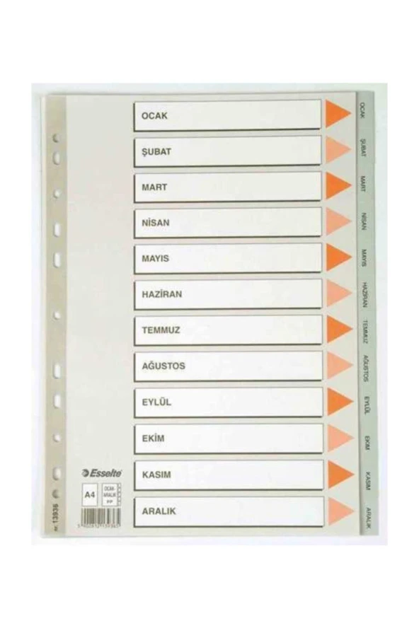 Esselte Seperatör A4 Aylar Gri