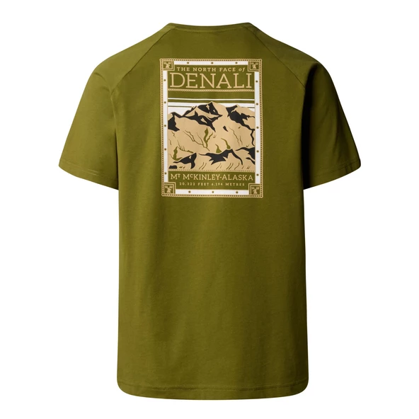 The North Face Erkek Kısa Kollu NORTH FACES Tişört NF0A87NUPIB1 - 2