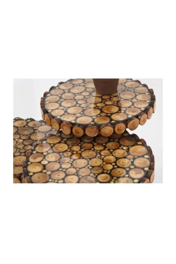 NUR AHŞAP Doğal Ahşap Dilim Kütük Zigon Sehpa - 2
