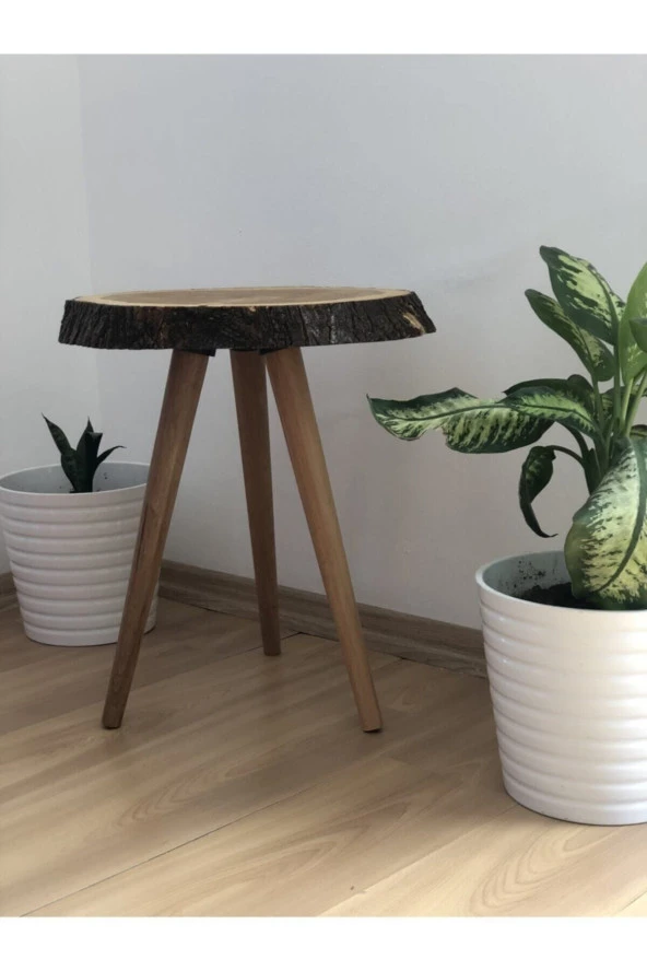 Dopekido Tasarım Ak Meşe Ağacı Doğal Ahşap Kütük Zigon Sehpa - 3