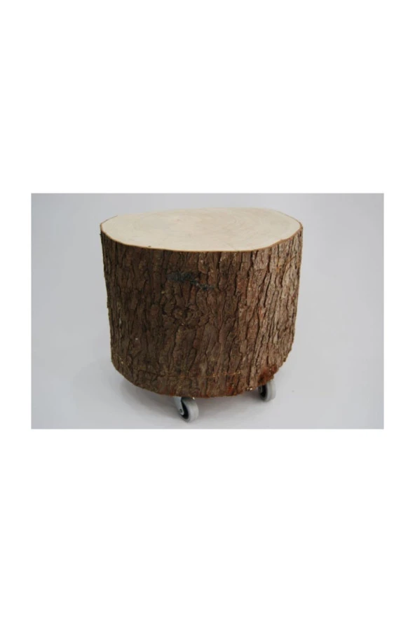 NUR AHŞAP Doğal Kütük Tabure - 2