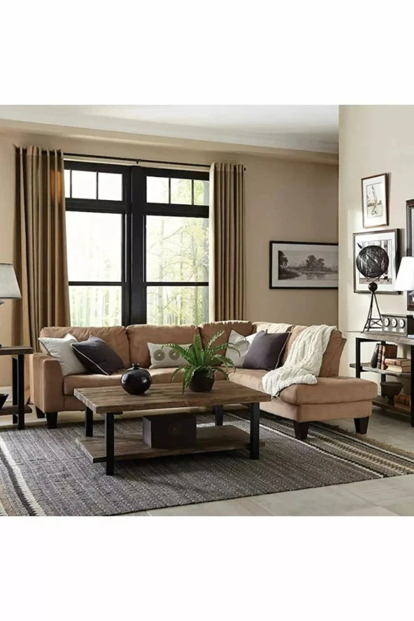 Loubrimart Ahşap Masif Ağaç Doğal Orta Sehpa Demir Iskelet 2 Katlı Sehpa - Resim 3