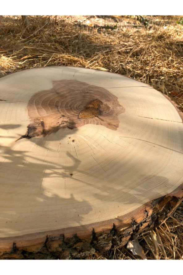 EVY Doğal Kütük Zigon Sehpa - 4