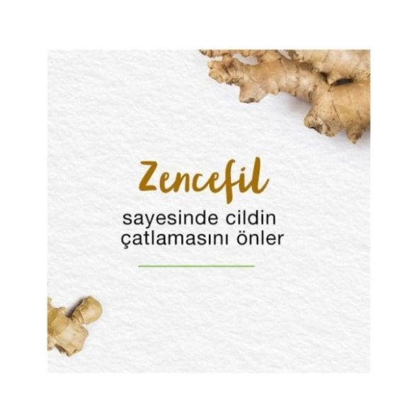 Himalaya Ayak Bakım Kremi 75 ML - 4
