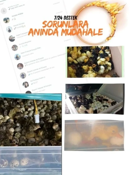 Tosbai Evonest Kuluçka Makinesi 110-130 Tavuk Yumurtalı 5 Programlı Nem Göstergeli (Ücretsiz Danışmanlık Hizmeti) - 6