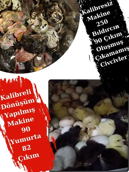 Tosbai Evonest Kuluçka Makinesi 110-130 Tavuk Yumurtalı 5 Programlı Nem Göstergeli (Ücretsiz Danışmanlık Hizmeti) - 3